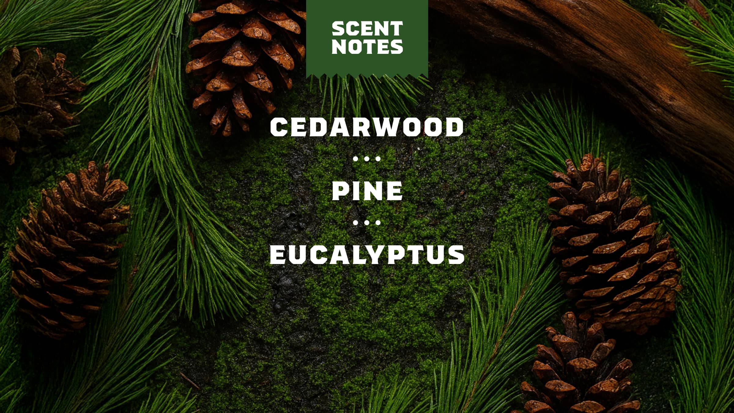 Dr. Squatch Soap Pine Tar Shampoo - Image 4
