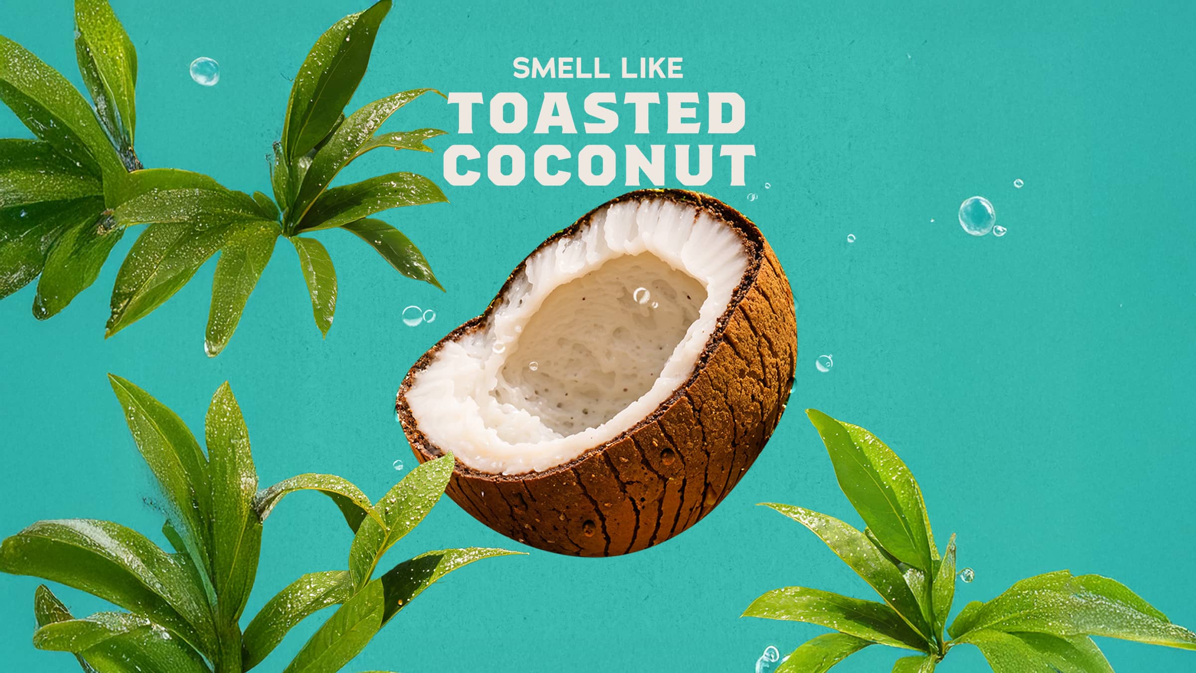 Dr. Squatch Soap Coconut Castaway Shampoo - Image 3