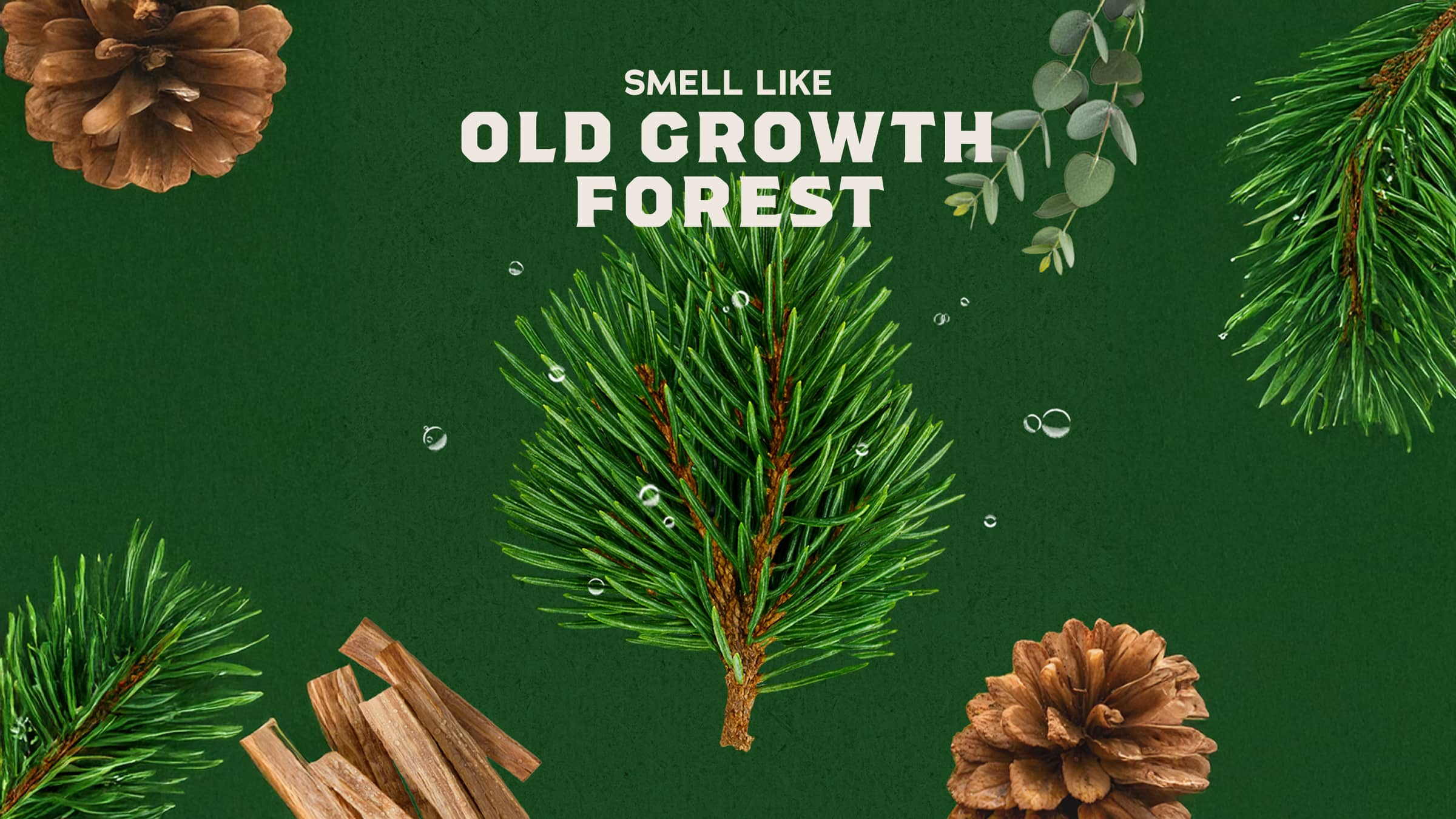 Dr. Squatch Soap Pine Tar Shampoo - Image 3
